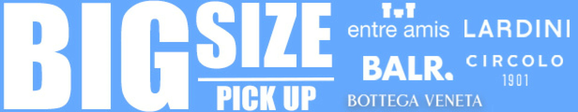 大きいサイズ特集