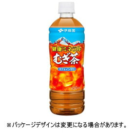 伊藤園　健康ミネラルむぎ茶　650mL　ペットボトル　1セット（48本：24本×2ケース）【法人限定】【送料無料】