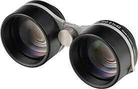 ビクセン(Vixen) 双眼鏡 星座 星空観察用 SG2.1x42H 19176