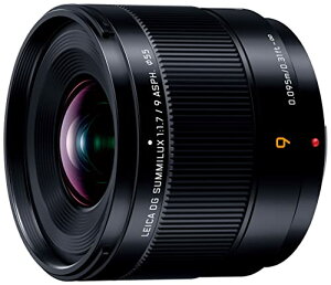 Panasonic LUMIX JY \Y fW^Jp H-X09