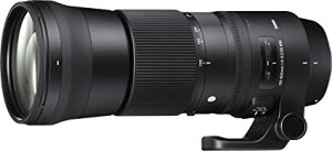 SIGMA 150-600mm F5-6.3 DG OS HSM | Contemporary C015 | Canon EF}Eg | Full-Size/Large-Format 745547