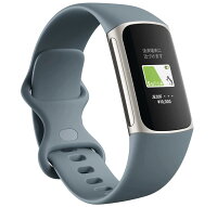 Suica対応 Fitbit Charge 5 トラッカー スチールブルー/プラチナ 最大7日間のバッテリーライフ/GPS搭載/スマートウォッチ