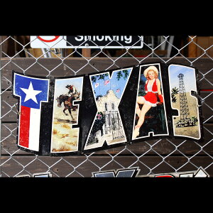 �A�����J���X�e�B�[���T�C���uTexas Landmarks�v PS-203 �e�L�T�X�����h�}�[�N ���^���T�C�� �Ŕ� �A�����J�G�� �A�����J���G��