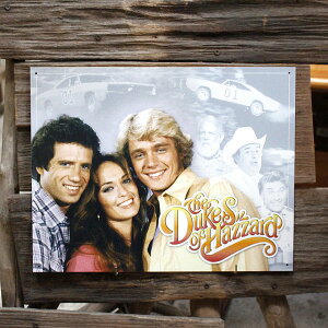 ^TC uf[NXIunU[h Gangv #1881 Duke's of Hazzard uLŔ [r[ AJG AJG