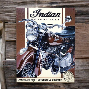 ^TC uCfBA '48 Chiefv #2009 Indian uLŔ K[W AJG AJG