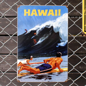 �X�e�B�[���T�C���uHAWAII WAVE�v PTS-219 �n���C�A�� ���^���T�C�� �Ŕ� �A�����J�G�� �A�����J���G��