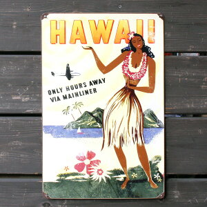 �X�e�B�[���T�C�� �uHawaii Hours Away�v PTS-233 �n���C�A�� ���^���T�C�� �Ŕ� �A�����J�G�� �A�����J���G��