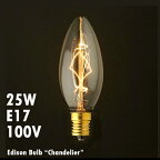 電球 レトロ おしゃれ エジソンバルブ シャンデリア 25W E17 Edison Bulb エジソン電球 インテリア 間接照明 アメリカ雑貨 アメリカン雑貨