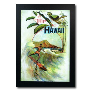 nCA|X^[ T[tBV[Y N-15 uTRIP TO HAWAIIv TCYF31×21cm AJG AJG
