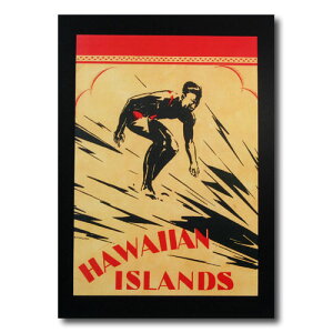 nCA|X^[ T[tBV[Y N-101 uHawaii Islandv TCYF30.5×21.5cm AJG AJG