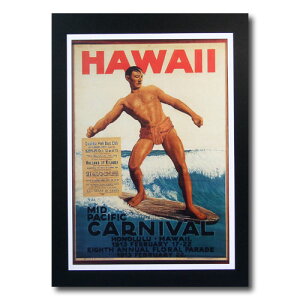 nCA|X^[ T[tBV[Y N-103 uHAWAII - CARNIVALv TCYF31×21.5cm AJG AJG