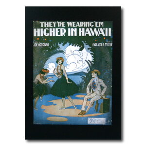 nCA|X^[ tK[V[Y F-133 uHIGHER IN HAWAIIv TCYF28×21.5cm AJG AJG