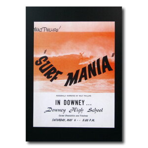 T[t[r[|X^[ L-9 uSURF MANIA IN DOWNY...v TCYF28×21.5cm AJG AJG