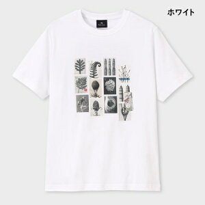 �y�������b�s���O�z �|�[���X�~�X Paul Smith T�V���c Desert Flowers ��100% ��������