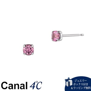 ybsOz JihV[ Canal 4 Ji4 v`i sAX sNg}uhKiViMtgv[glCߒaLONX}X 