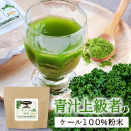 粉末 青汁 ケール 鹿児島県産 100g 国産 パウダー ケール粉末 ケール青汁 健康 野菜 栄養 葉酸 ミネラル …