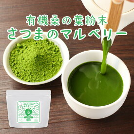 有機 桑茶 粉末 100g 国産 桑の葉 桑の葉茶 オーガニック 桑の葉粉末 パウダー 青汁 有機JAS 鹿児島県産 ダイエット 対策 ノンカフェイン 葉酸 アミノ酸 健康 茶 残留農薬検査・放射能検査済 レビュー特典 nkdy