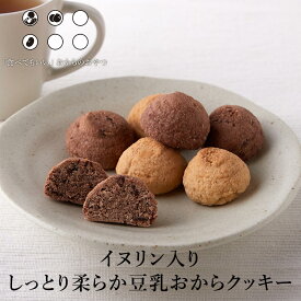 ＼LINE登録で20％OFFクーポン／お茶請け イヌリン入り ソフト 豆乳おからクッキー 500g 2種ミックス 訳あり スイーツ 送料無料 おから クッキー 置き換え ダイエット ダイエット食品 置き換え お菓子 swt