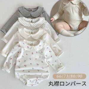 p[X xr[ {fB[X[c ̎q j̎q ۋ݃p[X  t H ~ xr[ Ԃ  킢 ԕ {[_[ hbg  n JWA tH[} V oYj