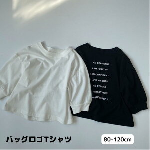 TVc T Jbg\[ xr[ LbY q xr[ ̎q j̎q TVc t H gbvX  킢 JWA obNvg 80 90 100 COq