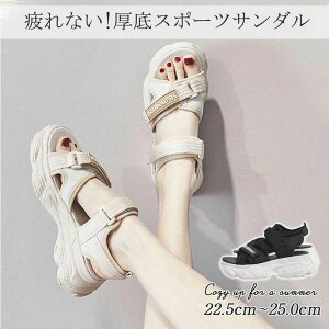  T_ fB[X T_ X|[cT_ r l  ăT_ AEghA XgbvT_ y fB[X r[`T_ C C ₷ It