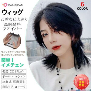  EBbO TZԐԃujmJo[jp  E 