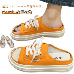  T_ T_ Xj[J[ Ȃ Xj[J[ LoX  C Xj[J[T_ Xb| LoX ƂȂ y fB[X Xj[J[T_ ₷ 