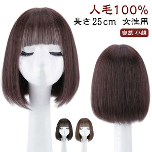  R tEBbO  l100% 25cm EBbO p ig ×pEBbO   Eя Z~OEBbO   