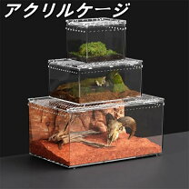 楽天市場】トカゲ 用 ケージの通販