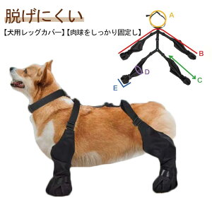  TXy_[t U ̌C pu[c bOJo[ ~ l{pc h~ h bOJo[ ی p h~ EȂ rߖh~ TCY߉\ ^