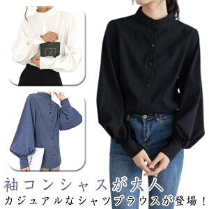  VcuEX Vc fB[X gbvX X^hJ[ o[X[u  nClbN  tH i zCg u[ ubN uEX X^hJ[Vc V