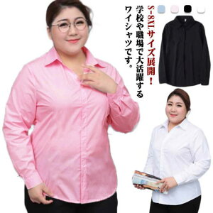  CVc rWlX  ItBX YVc Vc N[g  傫TCY A Vc X[c  uEX J fB[X ʋ OL 