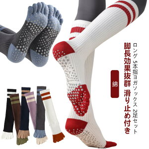  C ~ fB[X K  nC\bNX G K\bNX 2Zbg 5{wC C seBX C 2Zbg ܖ{w\bN KEFA O   2{