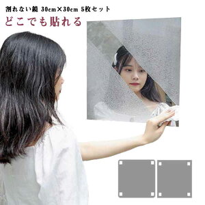 Ȃ  Sg p \ 5Zbg 30×30cm AN ~[ Uh~ pΉ 񎟍ЊQh~ PKh~ sv OK \t\ ʃV[ y CAEgR 