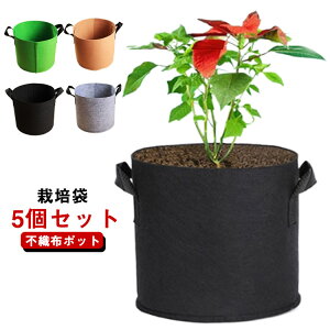  5Zbg 7K sDz|bg v^[ z ͔| tFg ۂz Aؔ sDz|bg A K[f ʋC diy | A琬 ؍͔| e