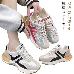  ̎q fB[X C ₷ C Xj[J[ ^C K Xj[J[ y  ʋ ʊw U w AEghA fB[X Ȃ V[Y ɂȂ 炩