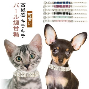 送料無料 グッズ 散歩 おしゃれ ビーズ 犬 犬散歩グッズ 可愛い パール 猫用首輪 高級 パール調 首輪犬 中型犬首輪 子犬 小型犬 中型犬 首輪 犬用首輪 犬首輪 犬の首輪 犬 愛犬 高級感 おすす