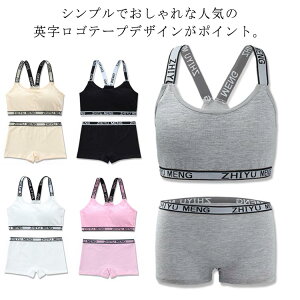  A_[EFA 2_Zbg Jbvt Zbg 12ˁ`16 V[c LbY q V[c ̎q qp  A_[EFA upS WjA Ci[ fB[