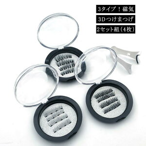 送料無料 マグネット 3タイプ!磁気 付け睫毛 3Dつけまつげ つけまつ毛 2セット組 ビューラー1つ付 3Dつけまつげ まつ毛 マグネット マグネット 式 まつ毛 マグネット式 つけま 3Dカール仕上げ