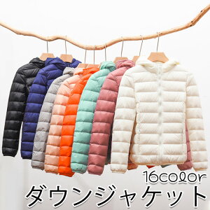  _EWPbg AEghA h Xqt Iׂ16F y g  n fB[X 傫TCY WPbg  ~ H fB[Xt@bV Vv y _bN_E