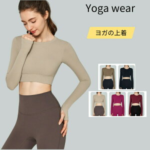  KEFA gbvX TVc K  fB[X  킢 zbgK Nbvh V[g X|[cEFA seBX W _CGbg z Xgb` 㒅