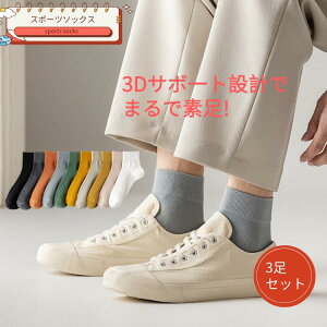  \bNX C X|[c\bNX C 3 tbg{[\bNX fB[X\bNX p JWA\bNX t H ~ ʋC _炩 t H ~ ʋC _炩 Y\bN