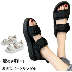  T_ fB[X X|[cT_  T_ t  q[ 3CM ~ r  ₷ Xj[J[T_ 