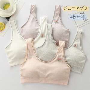  WjAu K[Y uW[ w w u 4g ̎q u mC[   ugbv ^Ngbv Z  q X|[cu _炩  