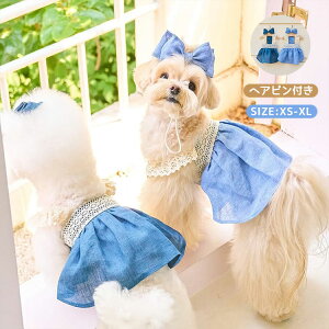 �������� ���� �h�b�O�E�F�A �����s�[�X �L���~���� ���� �w�A�s���t�� 2�_�Z�b�g �y�b�g�p�i �L�� �J���C�C ���[�X ���^�� ���^�� �C���X�^�f�� �U�� �`���� �g�C�v�[�h�� �V�[�Y�[ ���[