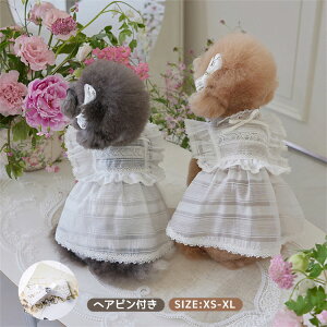   s[X  ^ ybg hX IV lC [X hJ zCg wAst 2_Zbg hbOEFA Pl  Eѕی m _炩 U o