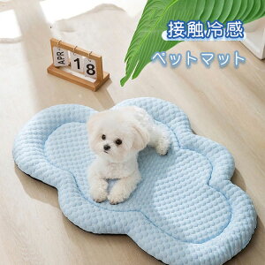  ⊴ ybgxbh pxbh  Ђ ybg}bg ^ NbV}bg 􂦂 ~ Lpxbh 傫 _炩 N[}bg Lp \t@ ӂӂ y K 