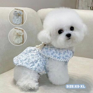   tėp s[X ԕ [X ^ ^ DOt 킢 Pl L[g ̎q ^Ngbv _炩 ̕ ybgEFA hbOEFA xXg pW} Lm