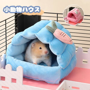  nX^[ nEX  Q  nbN ~ ۉh X   g xbh ӂӂ  nlY~ bg IE nEX LbgnEX ybgxbh gx