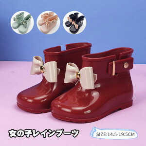  Cu[c LbY ̎q CV[Y 킢 {t xr[ C u[c JC qp J qC w  ʊw Lv w ct ۈ珊 wN h JC 